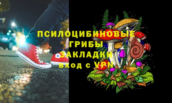 бошки Балахна