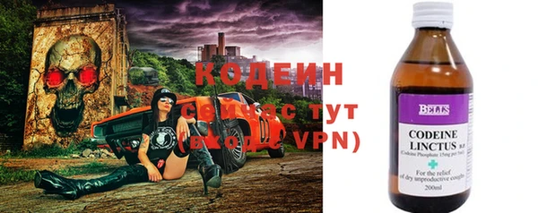 твердый Инта