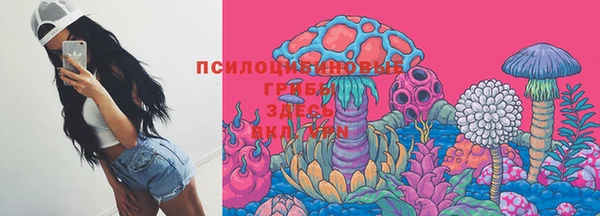 бошки Балахна