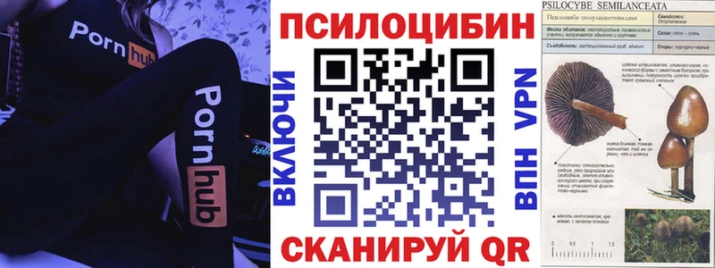 Галлюциногенные грибы прущие грибы  Невель 